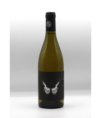 ledogar_carignan_blanc