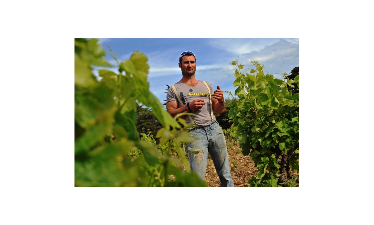 marc-castan-domaine-mamaruta-fitou-03_865298050