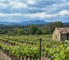 {Le Chai Bordin} {Caviste et bar à vins à Périgueux}